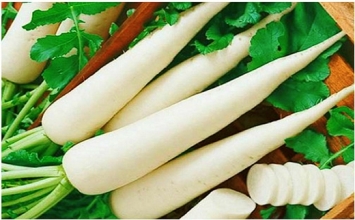 Củ cải trắng - thuốc quý cho sức khỏe mùa đông